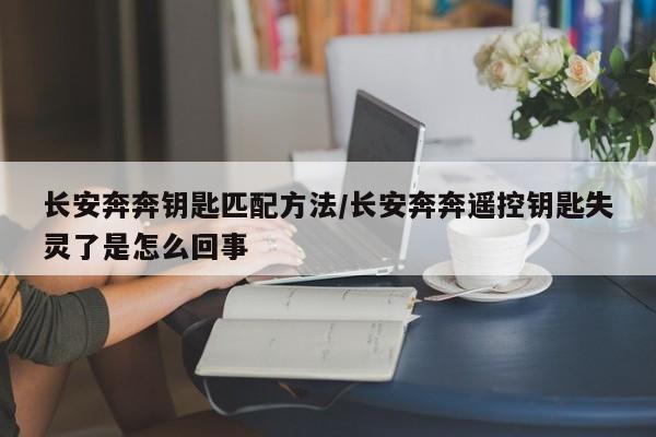 长安奔奔钥匙匹配方法/长安奔奔遥控钥匙失灵了是怎么回事