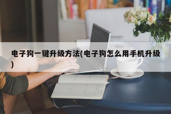 电子狗一键升级方法(电子狗怎么用手机升级)